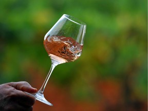 The early harvest is one of the reasons why the wines are so lightly coloured.