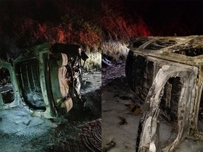 A falling bear destroyed a patrol car in California.