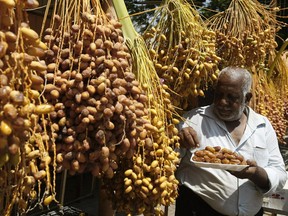 A Palestinian man prepares his dates to sell in the West Bank city of Jericho on August 11, 2010. Dates are a source of antioxidants, but so are many other fruits, Joe Schwarcz says.