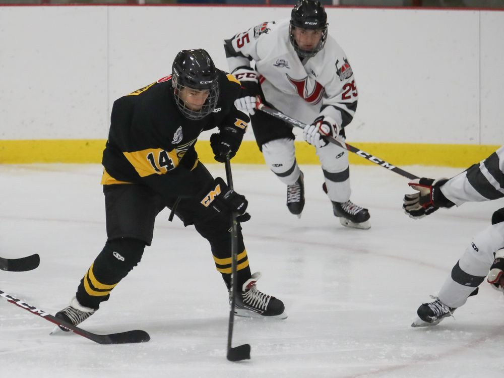 Lions 1 split their opening weekend in U13 AAA LEHQ play