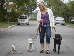 Mara Welch and her three dogs, Diego, left, Penelope, centre, and Bernard, on the streets of Dorval. She successfully protested Dorval's plan to introduce breed specific legislation (BSL).