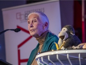 "We have not been borrowing our children's future, we've been stealing it," Jane Goodall said. "And we're still stealing it. No wonder the young people are angry."