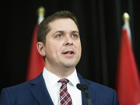 Conservative Leader Andrew Scheer is seen in a file photo.