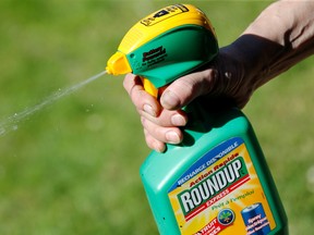 A man uses Roundup weedkiller spray containing glyphosate in a garden in Bordeaux, France on June 1, 2019.
