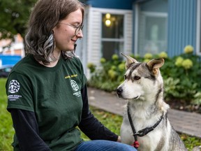 More than 60 dogs rescued from a Korean dog meat farm by the Humane Society International. Lisa Tessier-Turcotte took Martha, a Husky mix, out for a walk in Montreal on Tuesday October 1, 2019. It is believed that this was the first time on grass as Martha was a breeding dog that never left her cage in Korea.