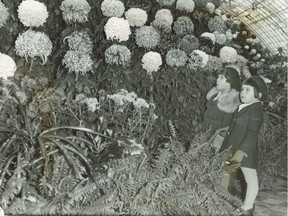 Two girls admire a display of chrysanthemums at the greenhouse in Lafontaine Park on Oct. 31, 1934. The exhibition was to open the following day. "Their pleasure and surprise at the gorgeous blooms is plainly shown. This is just a little corner of the exhibition -- there are hundreds of 'mums and other flowers open to inspection free of charge by the citizens daily during the present month," the original caption read.