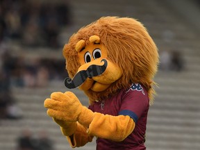 A mascot wears a moustache to mark "Movember" during a 2016 rugby union match in Bordeaux, France.