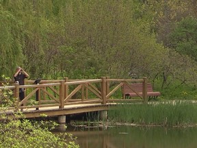 You can enjoy the sights, sounds and autumn fragrances of Montreal's Botanical Garden on Monday, Thanksgiving Day.