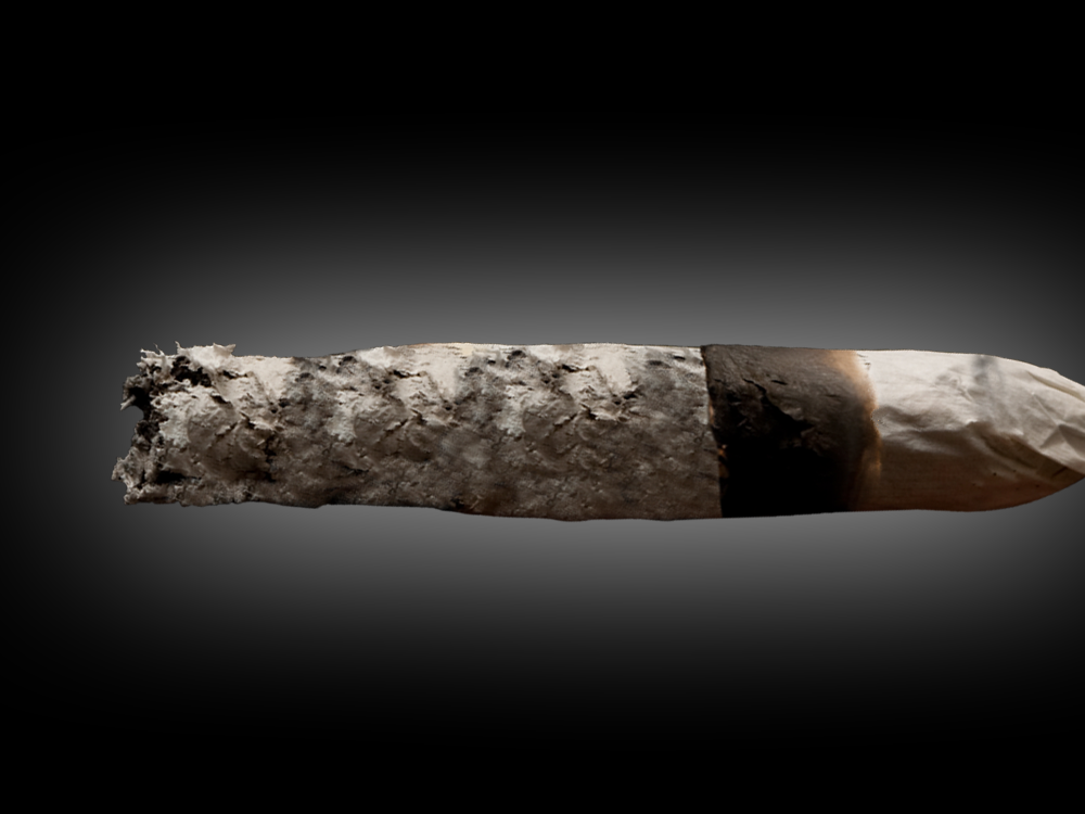 While you were sleeping Man lights joint in court with predictable