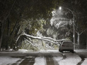 An early winter storm with heavy wet snow caused fallen trees, many on cars, and power lines in Winnipeg early Friday morning on Oct. 11, 2019. Snow-clearing crews were forced to hit the streets to clean up the damage.