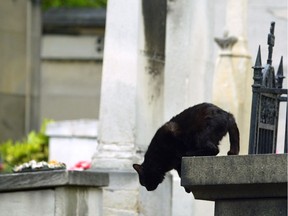 Superstition dictates that you should hold your breath as you pass a cemetery. If a black cat crosses your path in the meantime, we're afraid we can't help you.