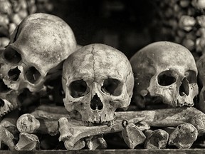 A file photo of skulls.