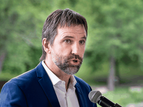 Environmentalist Steven Guilbeault announces his candidacy for the Liberal Party of Canada for the fall elections in Montreal on June 21, 2019.