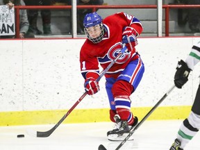 "We're phenomenal players on the ice, but we're also ambassadors off the ice," Hilary Knight says of the top female hockey stars. "We wear more hats than one."