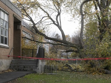 A branch fell on the side of Catherine-Soumillard School in Lachine on Friday, Nov. 1, 2019 following high winds.
