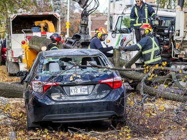 Arborists work to remove a large tree limb that fell on a car on Madison St. in Notre-Dame-de-Grace on Saturday, Nov. 2, 2019.