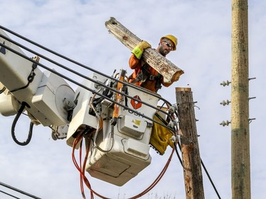 Hydro lineman Eric Bernard lifts a section of an old hydro pole next to a new one on Sunnyside Ave. in Pointe-Claire, on Saturday, Nov. 2, 2019.