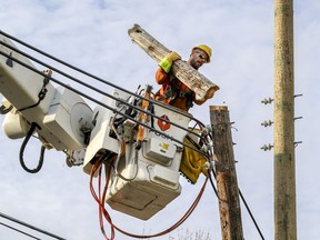 Hydro lineman Eric Bernard lifts a section of an old hydro pole next to a new one on Sunnyside Ave. in Pointe Claire, west of Montreal Saturday November 2, 2019. (John Mahoney / MONTREAL GAZETTE) ORG XMIT: 63413 - 3282