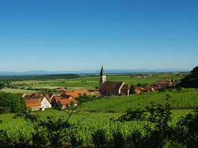 The Alsace region produces a variety of grapes, including gewürztraminer and riesling.