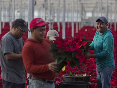 Among their employees are seasonal workers from Guatemala and Mexico.