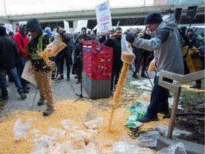 Farmers dump bags of corn grain in front of the Papineau riding office of Canadian Prime Minister Justin Trudeau, as they protest the lack of propane due to the Canadian National Railway (CN Rail) strike in Montreal, Quebec, Canada November 25, 2019.