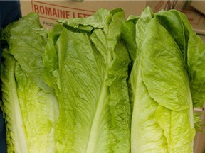 Another recall of California-grown romaine lettuce could have sickened dozens of U.S. and one Canadian citizens.