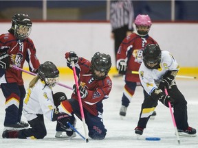 Beaconsfield plans to do some upgrades at its recreational centre, which includes the arena.