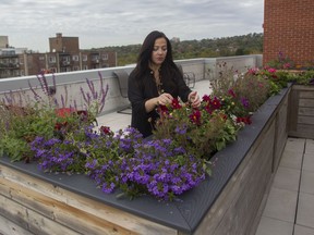 Dominique Pirolo on a rooftop terrace of her condo in the lower Westmount area.
