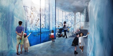 An ice tunnel is being added to the polar ecosystem at the Biodôme.