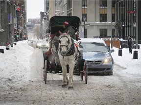 A Montreal caleche makes its way along Notre-Dame St. in Old Montreal Dec. 25, 2017.