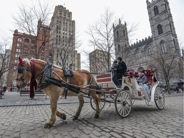 Michel Prince drives his caleche, pulled by his horse named Prince, past Place D'Armes in Old Montreal on Sunday, Dec. 29, 2019.
