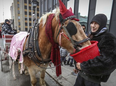 Caleche driver Michel Prince feeds his horse named Prince between customers in Old Montreal on Sunday, Dec. 29, 2019.