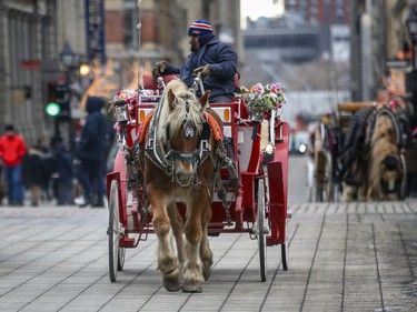 A caleche drives east on Notre Dame St. W. in Old Montreal on Sunday, Dec. 29, 2019.