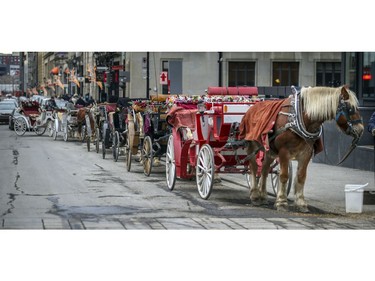 A line of caleches wait for customers in Old Montreal on Sunday, Dec. 29, 2019.