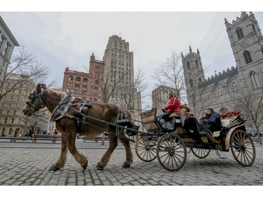 Nathalie Matte steers her caleche past Place D'Armes in Old Montreal on Sunday, Dec. 29, 2019.