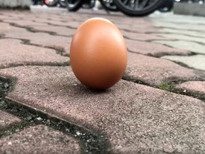 An egg is seen on the ground in Shah Alam, Kuala Lumpur, Malaysia, Dec. 26, 2019 ,in this screengrab obtained from a social media video.