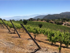 Chilean winemakers benefit from incredibly diverse climates and soils.
