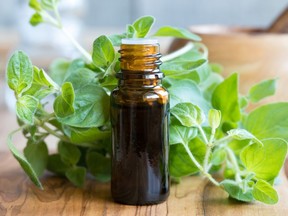 "True, various extracts of oregano oil have antimicrobial effects in a test tube, but there is nothing exciting about that. Numerous plant-derived chemicals have such effects, but then fail to show any value in human trials. After all, the body is not a giant test tube," Joe Schwarcz writes.