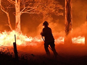 This picture taken on December 31, 2019 shows a firefighter hosing down trees and flying embers in an effort to secure nearby houses from bushfires near the town of Nowra in the Australian state of New South Wales. - Fire-ravaged Australia has launched a major operation to reach thousands of people stranded in seaside towns after deadly bushfires ripped through popular tourist areas on New Year's Eve. (Photo by SAEED KHAN / AFP)