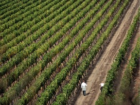 The Cousiño Macul winery, near Santiago, Chile, in 2010.