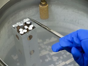 A container holding racks of frozen oocytes, or immature egg cells, are shown being pulled up from a liquid nitrogen storage tank at the NYU Fertility Center in New York, U.S., on May 1, 2007. "As a consequence of rising rates of infertility, the number of couples seeking assisted reproductive treatment in western countries is increasing annually at a rate of 5 per cent," Sarah Kimmins and Joël Roy write.