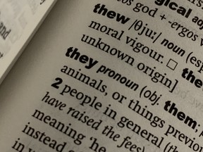 U.S. linguists on Friday chose "they" as their Word of the Decade, recognizing the growing use of third-person plural pronouns as a singular form to refer to people who identify their gender as neither entirely male nor entirely female.