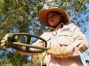 A member of an all-female demining team cleans a detector used to find unexploded ordnance at a landmine site in the Trieu Phong district in Quang Tri province, Vietnam. .