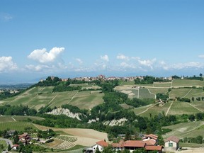 Piedmont is also home to nebbiolo and barbera, but the lesser-known dolcetto is well worth a taste.