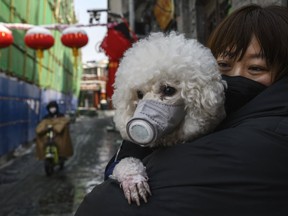 A woman and her dog both wear protective masks as they stand in the street in Beijing, China on Feb. 7, 2020.
