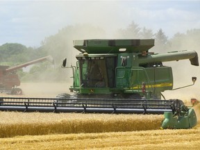 Combines harvest winter wheat south of St. Thomas, Ont., on  July 18, 2018. Farming on land identified in a climate change study — more than half of which lies in Canada and Russia, with the rest including the mountains of Central Asia and North America’s Rocky Mountains — could help feed the planet’s growing population.