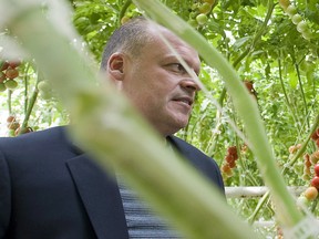 Biologico organic tomato greenhouse owner Stephane Roy is seen in Saint-Sophie, Que., on August 16, 2012. The emergency locator transmitter aboard a helicopter piloted by Roy, a Quebec businessman who was killed in a crash last month, was functional but in the off position, the Transportation Safety Board says.