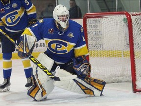 Dollard native Devon Levi has been named the Most Valuable Player in the Central Canada Hockey League.