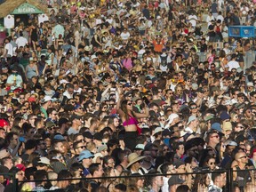 If you've found yourself in the middle of an Osheaga audience, perhaps you'll agree that young people are taller than they used to be. How about more seating for those who aren't up for straining their neck?