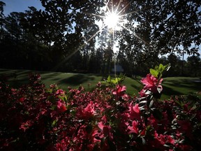 Azalea flowers bloom at Augusta National Golf Club during practice for the 2018 Masters golf tournament. This year's tournament, which had been scheduled for April 9-12, has been postponed because of the coronavirus.